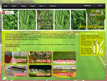 Tablet Screenshot of green-pearl.net